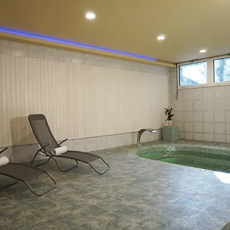 Anna Panzio & Wellness Отель типа 