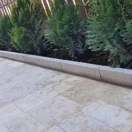 Anna Panzio & Wellness