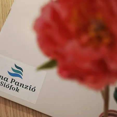 Anna Panzio & Wellness 4*
